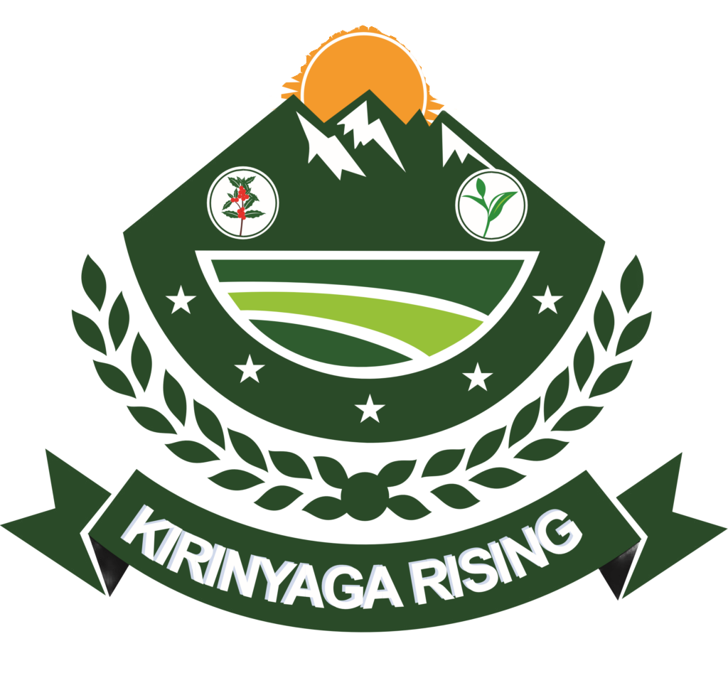Kirinyaga County